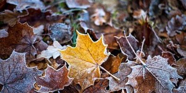 Морозные выходные ожидаются в Приморье