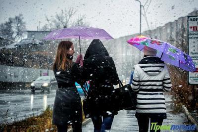 В воскресенье в Приморье ожидаются осадки в виде дождя, дождя со снегом, снег