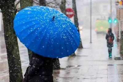 Прогноз погоды на рабочую неделю в Приморье и Владивостоке. В пятницу, 17 ноября, обрушится циклон