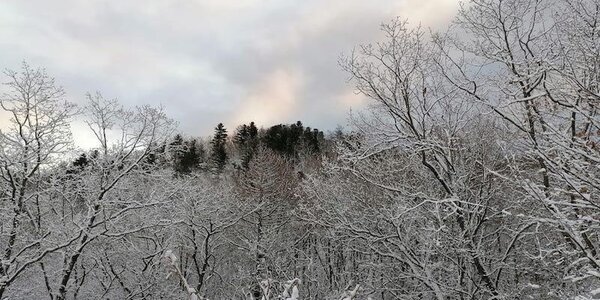 Следующая неделя в Приморье будет морозной и снежной