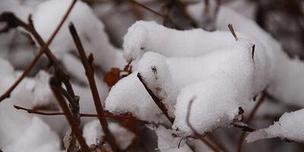 Зима ненадолго заглянула во Владивосток на выходных