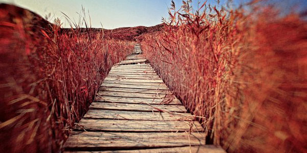 В выходные дни в Приморье вновь повысятся дневные температуры воздуха
