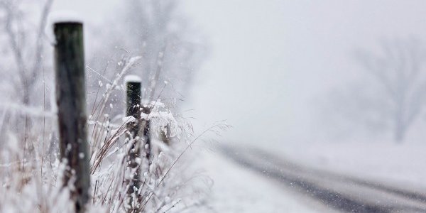 Снежный шторм оставил центральную часть Финляндии без света