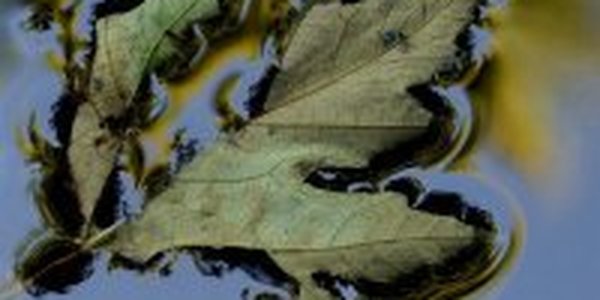 Пока холода из Приморья не уйдут