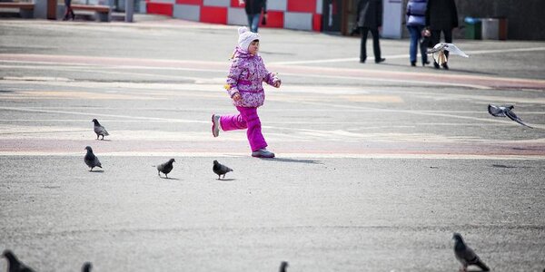 Февраль распрощался с Приморьем теплой погодой 