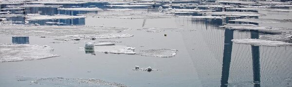 До +8°С поднимутся столбики термометров в пятницу в Приморье 