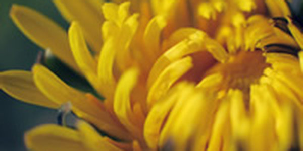 Июнь опережает июль. Каким оказался первый летний месяц в Приморье?