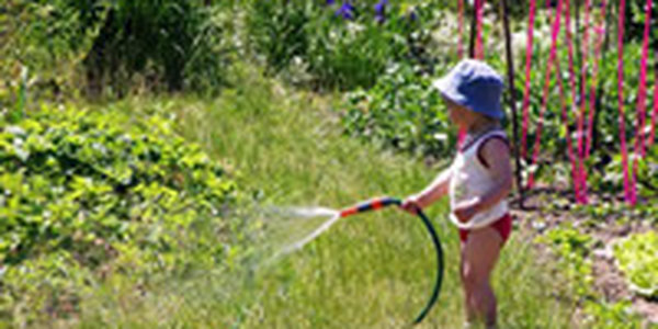 Жаркая погода вернется в Приморье в воскресенье