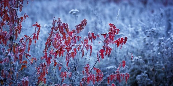Сибирский антициклон погрузил Приморский край в предзимье