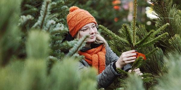 Где во Владивостоке купить ёлку к Новому году (КАРТА)