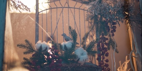 Ночь на воскресенье во Владивостоке будет самой холодной в текущем декабре