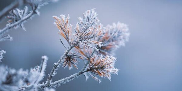 Синоптики рассказали, какая погода ждёт россиян в декабре
