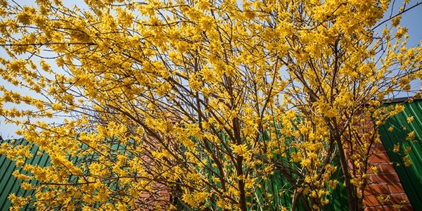 Гидрометцентр России: Апрель и май будут богаты на температурные аномалии