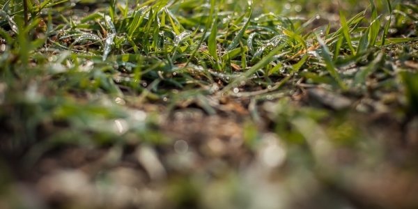 Утром 5 апреля во Владивостоке возможен небольшой дождь