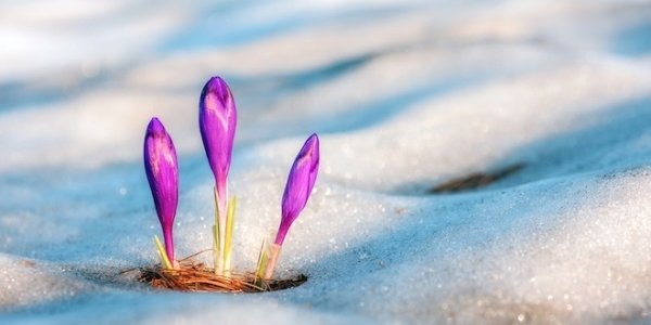 Март 2016 поставил рекорд тепла на Северном полушарии Земли