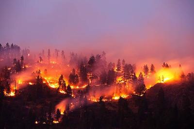 На Дальнем Востоке сгорели 14 тыс. га леса за сутки
