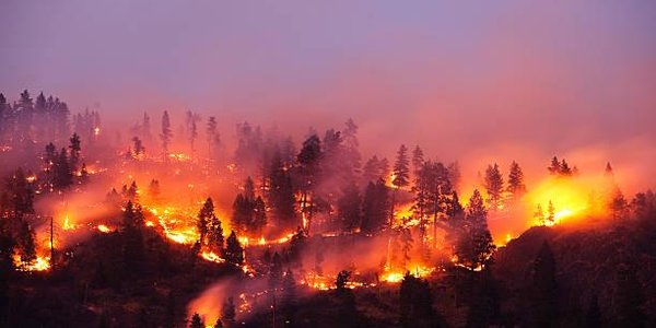 Жаркая погода способствует росту пожароопасности леса