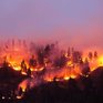 Жаркая погода способствует росту пожароопасности леса