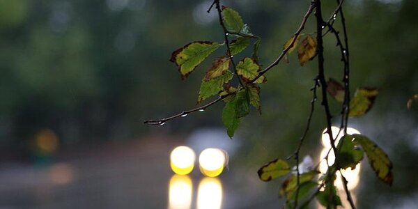 Июль в Приморье начался с тропических ливней 