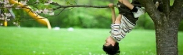 В пустыне Сахара вновь зацветут райские сады