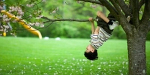 В пустыне Сахара вновь зацветут райские сады