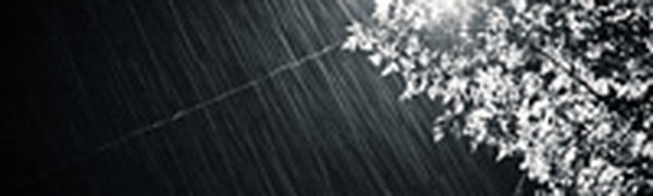 Во второй половине ночи количество осадков во Владивостоке достигло 53 мм 