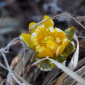 Весна в Приморье уверенно набирает силу
