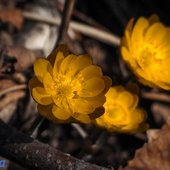 Весна в Приморье уверенно набирает силу