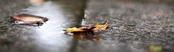 Начало второго осеннего месяца в Приморье будет ненастным