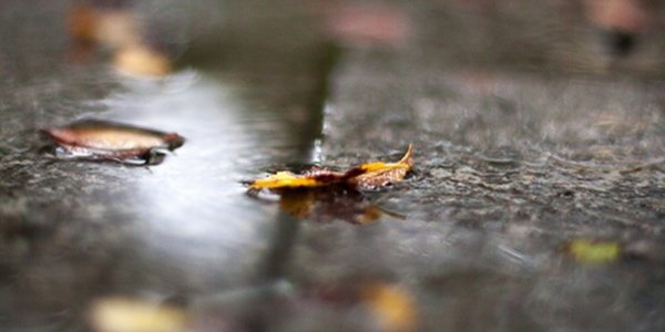 Начало второго осеннего месяца в Приморье будет ненастным