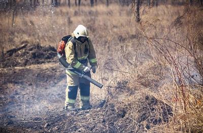 На территории Приморского края введён особый противопожарный режим