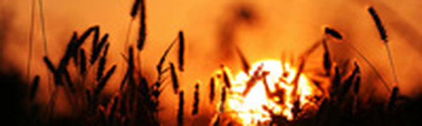 Россиян ждет жаркое начало лета