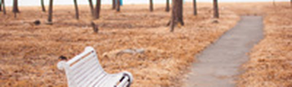 Прошедшие выходные порадовали приморцев теплой погодой