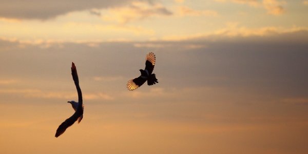 В выходные дни во Владивостоке будет дуть сильный ветер