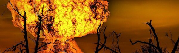 В лесах Приморья ожидается повышение пожароопасности леса до 4, 5 классов