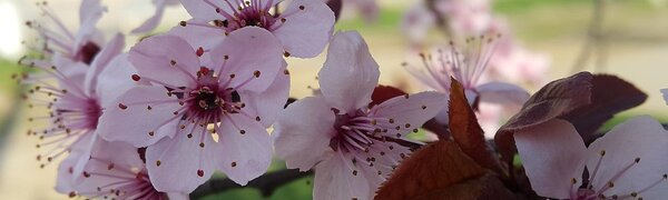 Март-2020 на планете стал вторым самым теплым за историю метеонаблюдений