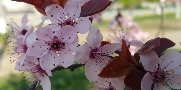 Март-2020 на планете стал вторым самым теплым за историю метеонаблюдений