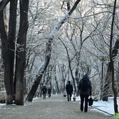 Владивосток засыпало снегом. Он будет идти и в начале недели