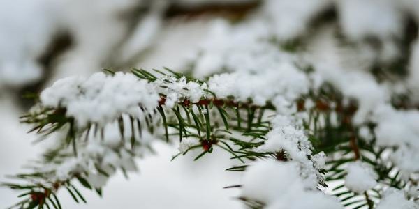 Владивосток засыпало снегом. Он будет идти и в начале недели