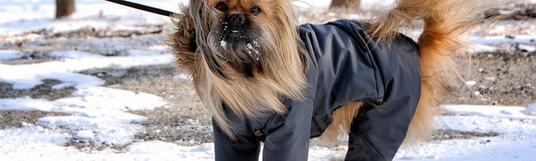 Снег в Приморье прекратится только завтра днём