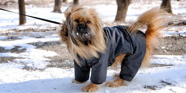 Снег в Приморье прекратится только завтра днём
