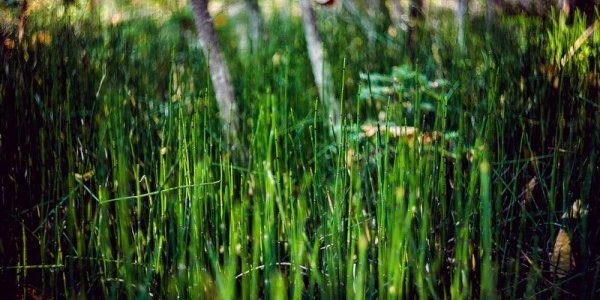 Теплая погода с кратковременными дождями ждет Приморье в выходные дни