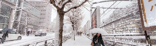 Снежный шторм обрушился на северо-восток Японии (ВИДЕО)