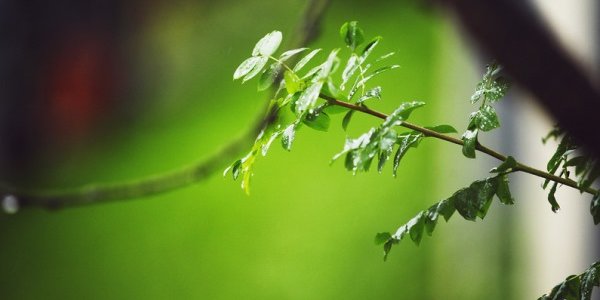 В Приморье выпало до двух декадных норм осадков