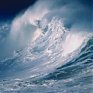 В северной части Тихого океана ожидается шторм с волнами до 10 метров