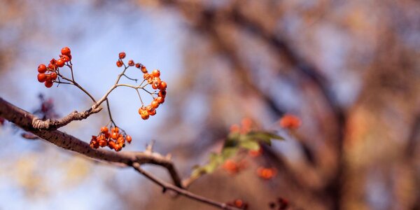 Температура воздуха во Владивостоке превышает норму на 7 °C