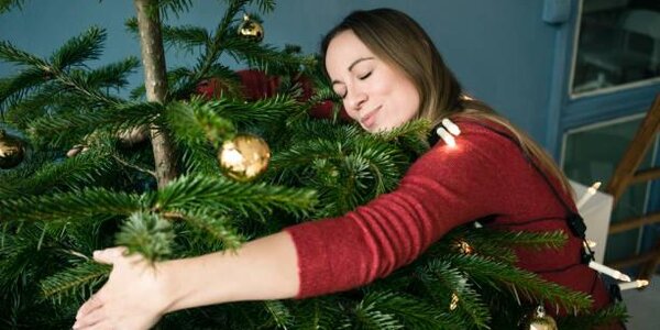 Гринпис рассказал, как выбрать экологичную ёлку к Новому году