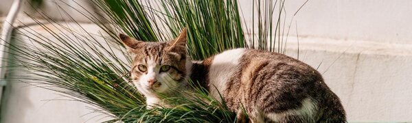 Солнечная погода продолжает радовать жителей Приморья