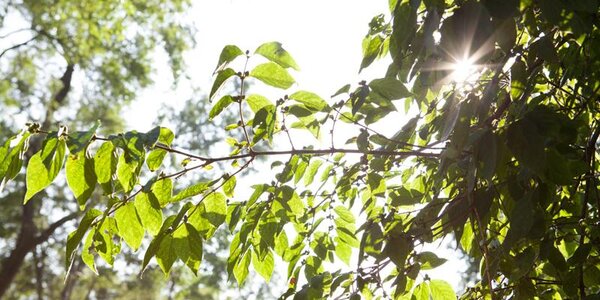 Солнечная погода будет во Владивостоке на выходных