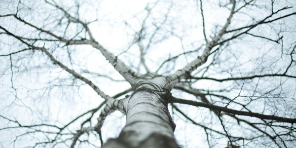 Холодная погода без осадков сохранится в Приморье до середины недели